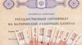 Покупаем квартиру за материнский капитал без ипотеки: о чем важно знать в этом случае