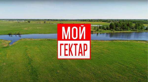 «Мой гектар» обещает участки недалеко от Москвы по цене от 100 тысяч рублей: какие условия и в чем подвох