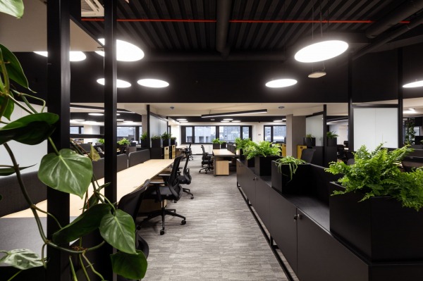 Технологии осознанного озеленения: как офисы превращаются в зеленые коворкинги и пространства для общения